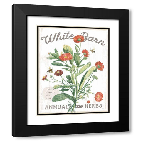 White Barn Flowers IV Black Modern Wood Framed Art Print with Double Matting by Schlabach, Sue