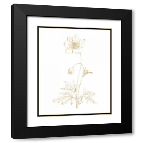 Gilded Botanical II Black Modern Wood Framed Art Print with Double Matting by Wild Apple Portfolio