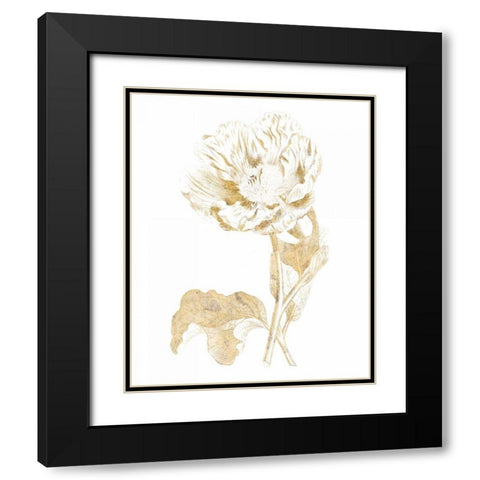 Gilded Botanical VII Black Modern Wood Framed Art Print with Double Matting by Wild Apple Portfolio