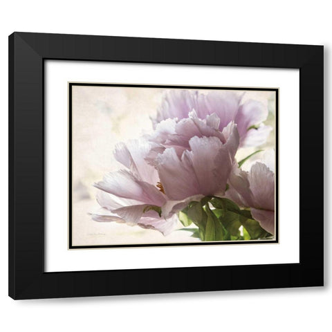 Translucent Peony I Black Modern Wood Framed Art Print with Double Matting by Van Swearingen, Debra