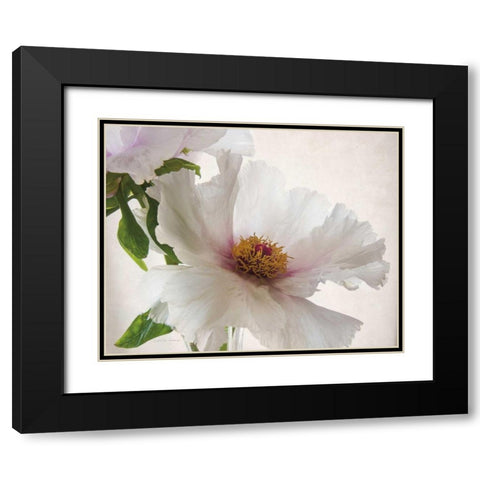 Translucent Peony VI Black Modern Wood Framed Art Print with Double Matting by Van Swearingen, Debra