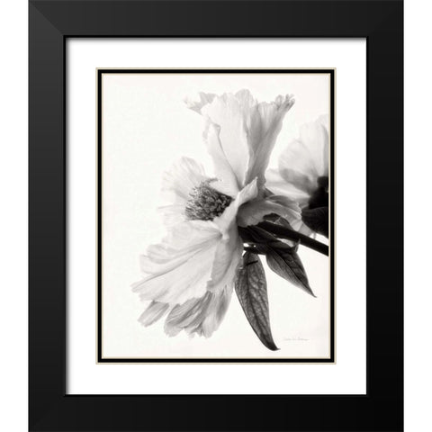 Translucent Peony IVBW Black Modern Wood Framed Art Print with Double Matting by Van Swearingen, Debra