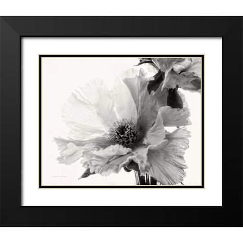 Translucent Peony VBW Black Modern Wood Framed Art Print with Double Matting by Van Swearingen, Debra
