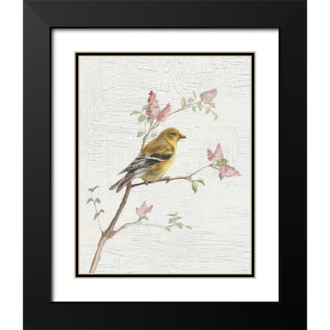 Female Goldfinch Vintage v2 Black Modern Wood Framed Art Print with Double Matting by Nai, Danhui