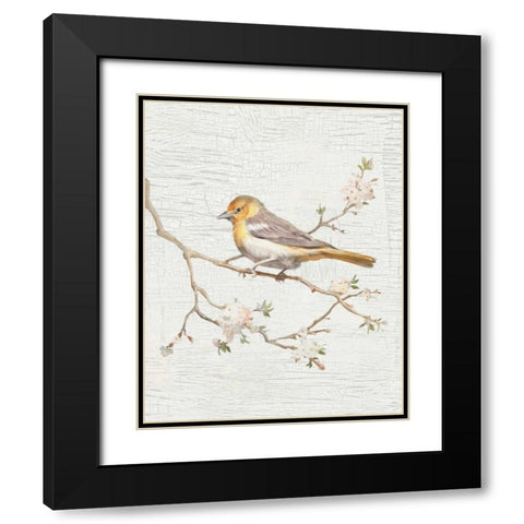 Northern Oriole Vintage v2 Black Modern Wood Framed Art Print with Double Matting by Nai, Danhui