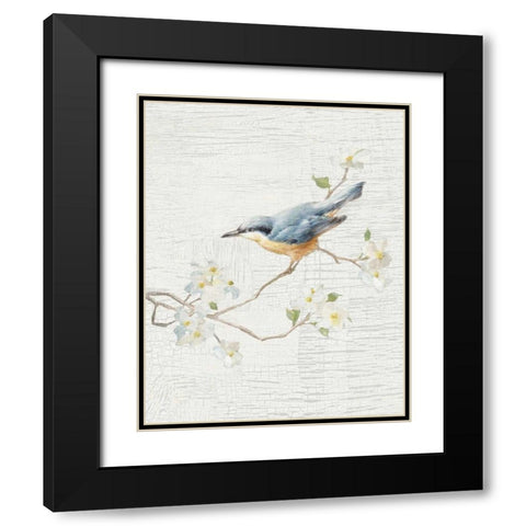 Nuthatch Vintage v2 Black Modern Wood Framed Art Print with Double Matting by Nai, Danhui