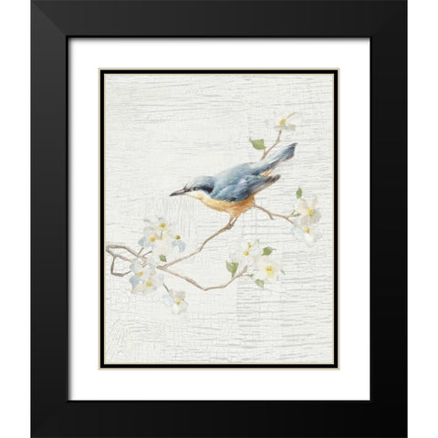 Nuthatch Vintage v2 Black Modern Wood Framed Art Print with Double Matting by Nai, Danhui