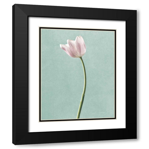 Light Tulips I Harbor Gray Black Modern Wood Framed Art Print with Double Matting by Van Swearingen, Debra