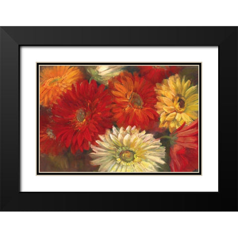 Gerberas Black Modern Wood Framed Art Print with Double Matting by Rowan, Carol