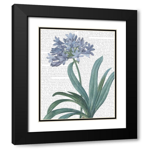 Summer Botanicals I Black Modern Wood Framed Art Print with Double Matting by Wild Apple Portfolio