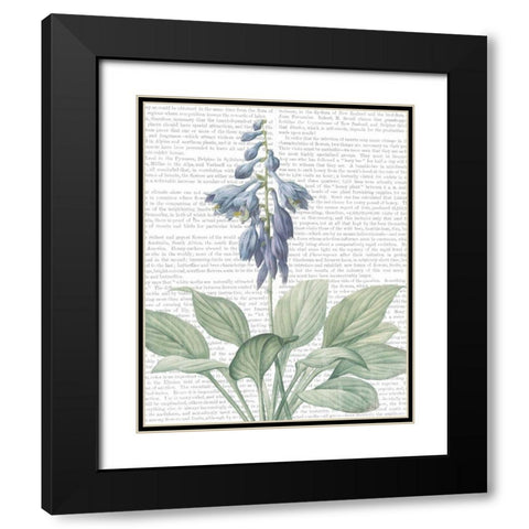 Summer Botanicals II Black Modern Wood Framed Art Print with Double Matting by Wild Apple Portfolio