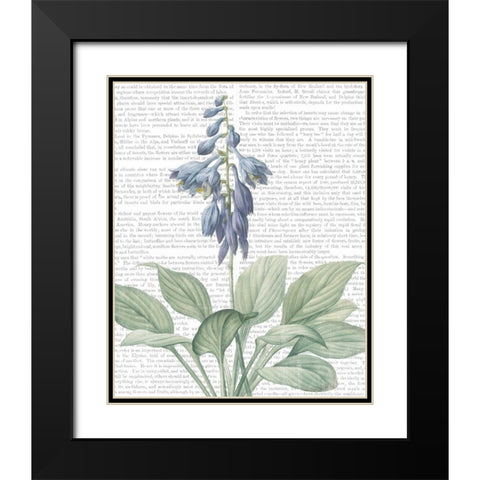 Summer Botanicals II Black Modern Wood Framed Art Print with Double Matting by Wild Apple Portfolio