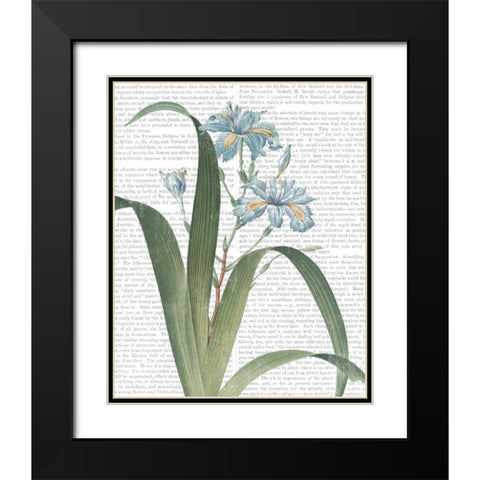 Summer Botanicals III Black Modern Wood Framed Art Print with Double Matting by Wild Apple Portfolio