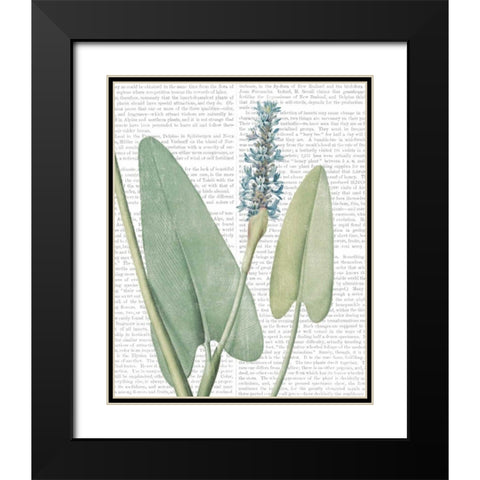 Summer Botanicals IV Black Modern Wood Framed Art Print with Double Matting by Wild Apple Portfolio