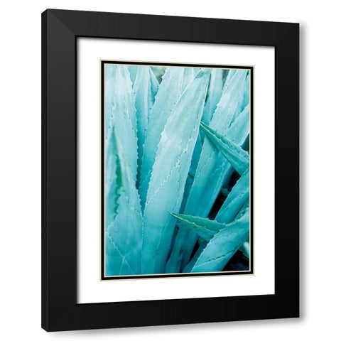Abstract Agava I Color Black Modern Wood Framed Art Print with Double Matting by Urquhart, Elizabeth