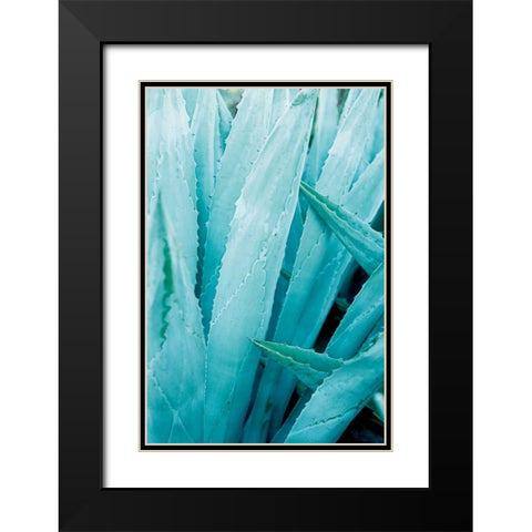 Abstract Agava I Color Black Modern Wood Framed Art Print with Double Matting by Urquhart, Elizabeth