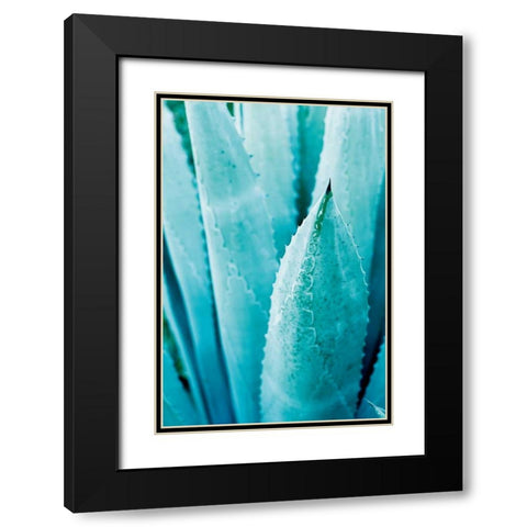 Abstract Agava II Color Black Modern Wood Framed Art Print with Double Matting by Urquhart, Elizabeth