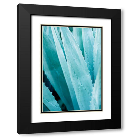 Abstract Agava IV Color Black Modern Wood Framed Art Print with Double Matting by Urquhart, Elizabeth