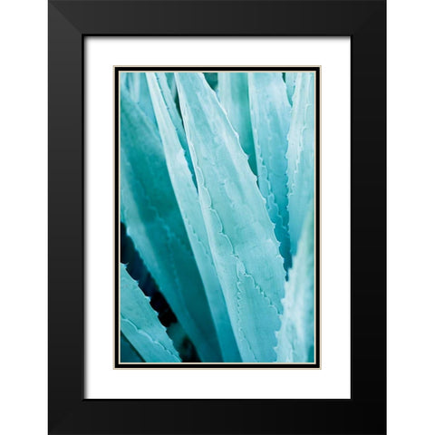Abstract Agava IV Color Black Modern Wood Framed Art Print with Double Matting by Urquhart, Elizabeth