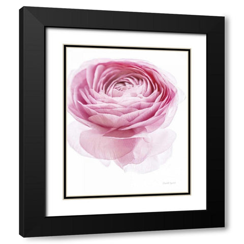 Pink Lady I Black Modern Wood Framed Art Print with Double Matting by Urquhart, Elizabeth