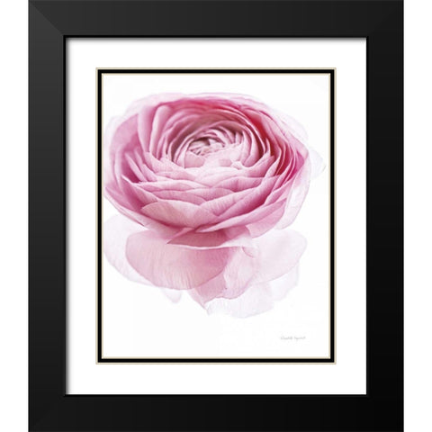Pink Lady I Black Modern Wood Framed Art Print with Double Matting by Urquhart, Elizabeth