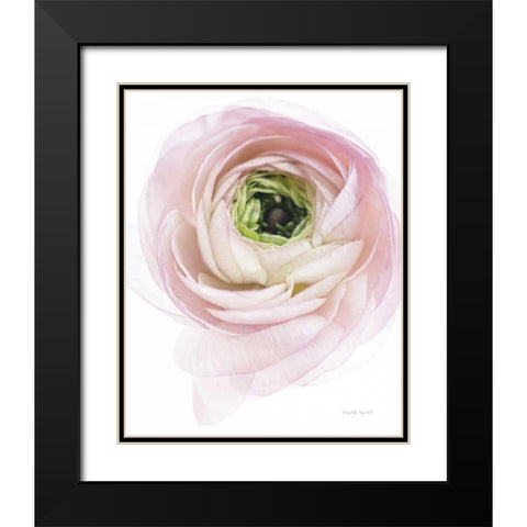 Pink Lady II Black Modern Wood Framed Art Print with Double Matting by Urquhart, Elizabeth