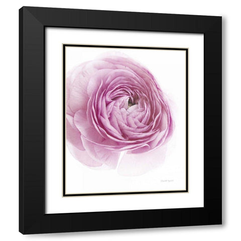 Pink Lady III Black Modern Wood Framed Art Print with Double Matting by Urquhart, Elizabeth