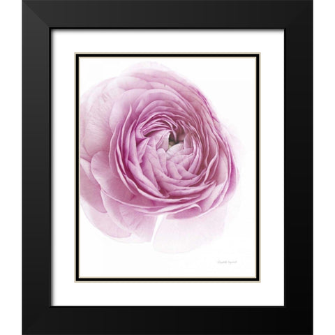 Pink Lady III Black Modern Wood Framed Art Print with Double Matting by Urquhart, Elizabeth