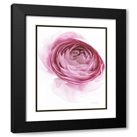 Pink Lady IV Black Modern Wood Framed Art Print with Double Matting by Urquhart, Elizabeth