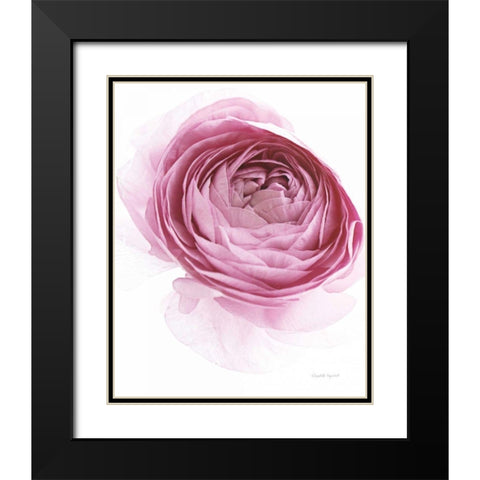 Pink Lady IV Black Modern Wood Framed Art Print with Double Matting by Urquhart, Elizabeth