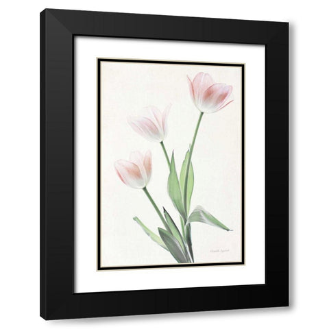 Light and Bright Floral I Black Modern Wood Framed Art Print with Double Matting by Urquhart, Elizabeth