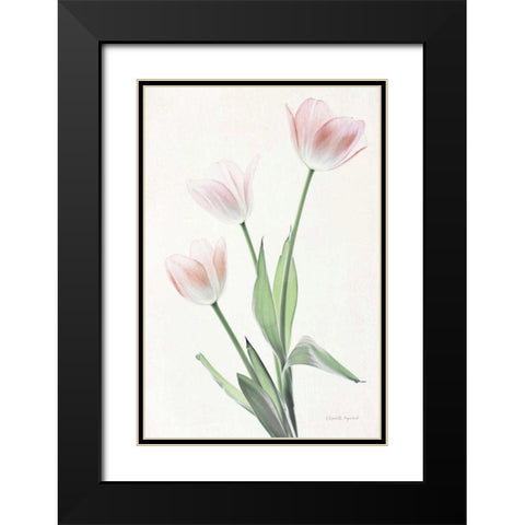 Light and Bright Floral I Black Modern Wood Framed Art Print with Double Matting by Urquhart, Elizabeth