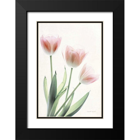 Light and Bright Floral II Black Modern Wood Framed Art Print with Double Matting by Urquhart, Elizabeth