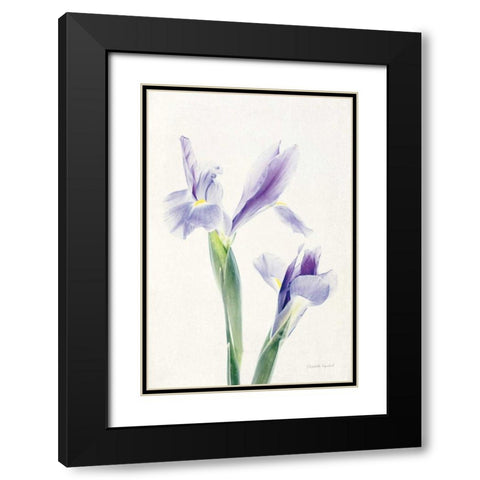 Light and Bright Floral III Black Modern Wood Framed Art Print with Double Matting by Urquhart, Elizabeth