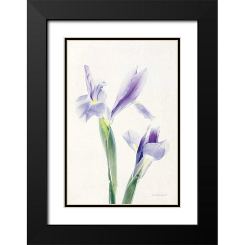 Light and Bright Floral III Black Modern Wood Framed Art Print with Double Matting by Urquhart, Elizabeth