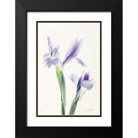 Light and Bright Floral III Black Modern Wood Framed Art Print with Double Matting by Urquhart, Elizabeth