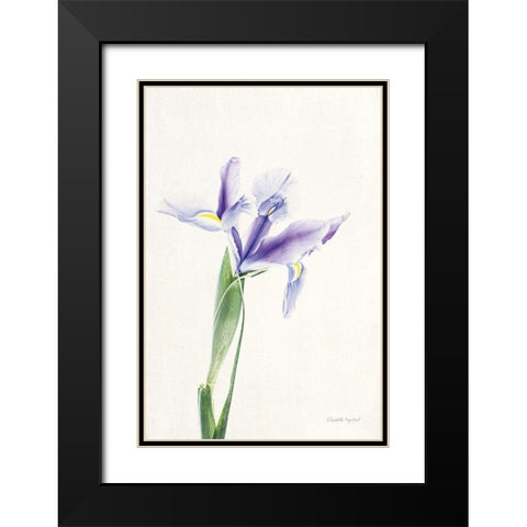 Light and Bright Floral IV Black Modern Wood Framed Art Print with Double Matting by Urquhart, Elizabeth