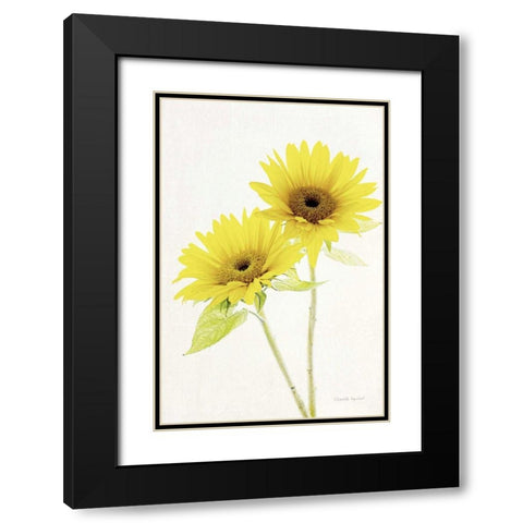 Light and Bright Floral VII Black Modern Wood Framed Art Print with Double Matting by Urquhart, Elizabeth