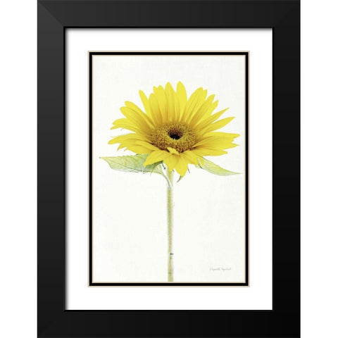 Light and Bright Floral VIII Black Modern Wood Framed Art Print with Double Matting by Urquhart, Elizabeth