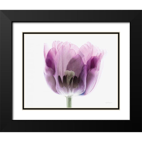 Inside Out II Black Modern Wood Framed Art Print with Double Matting by Urquhart, Elizabeth