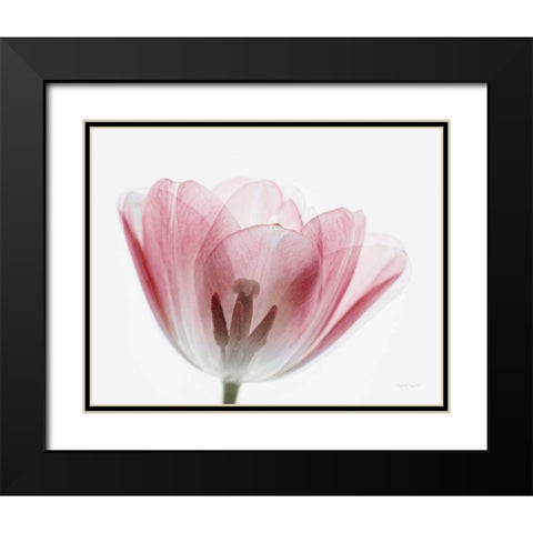 Inside Out III Black Modern Wood Framed Art Print with Double Matting by Urquhart, Elizabeth