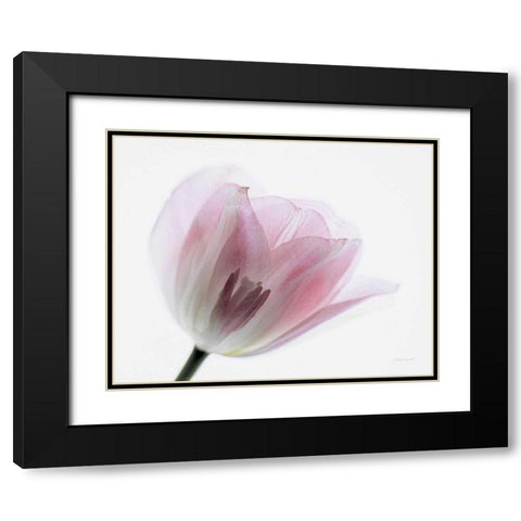 Inside Out IV Black Modern Wood Framed Art Print with Double Matting by Urquhart, Elizabeth