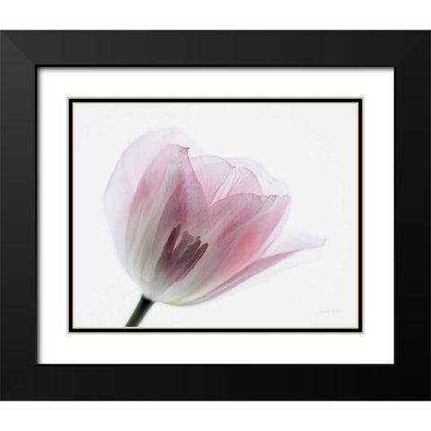 Inside Out IV Black Modern Wood Framed Art Print with Double Matting by Urquhart, Elizabeth