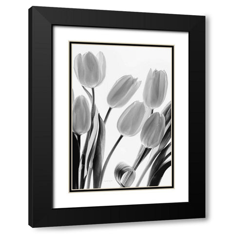 Shadows and Light I Black Modern Wood Framed Art Print with Double Matting by Urquhart, Elizabeth
