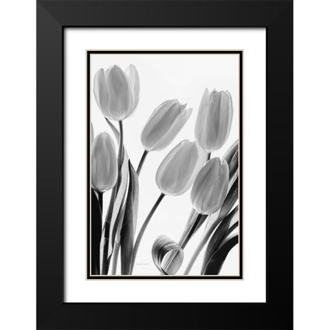Shadows and Light I Black Modern Wood Framed Art Print with Double Matting by Urquhart, Elizabeth