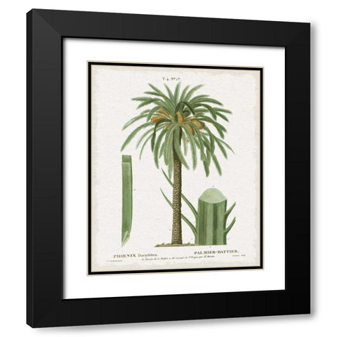 Island Botanicals II Black Modern Wood Framed Art Print with Double Matting by Wild Apple Portfolio