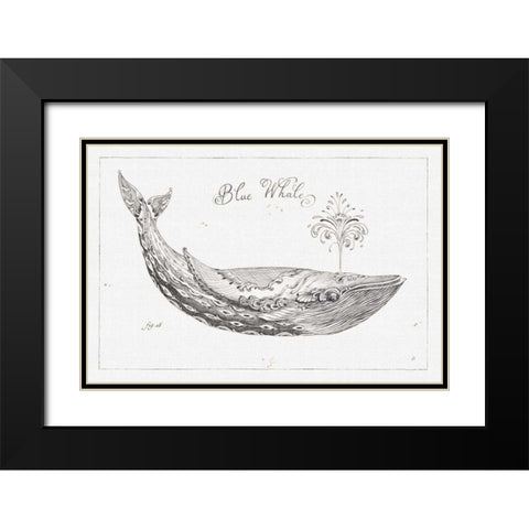 Underwater Life I Black Modern Wood Framed Art Print with Double Matting by Brissonnet, Daphne