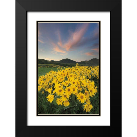 Methow Valley Wildflowers I Black Modern Wood Framed Art Print with Double Matting by Audit, Lisa