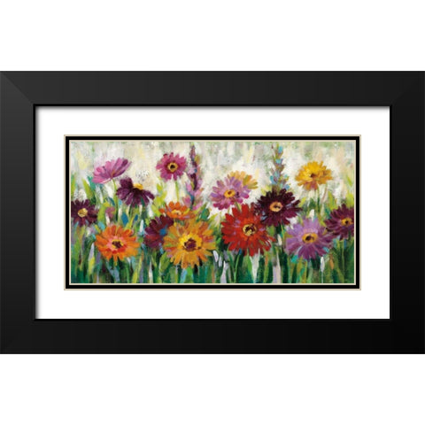 Jewel Daisy Gerbera Black Modern Wood Framed Art Print with Double Matting by Vassileva, Silvia