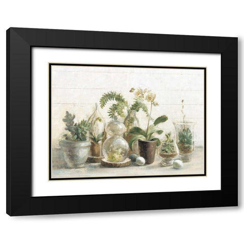 Greenhouse Orchids on Shiplap Black Modern Wood Framed Art Print with Double Matting by Nai, Danhui